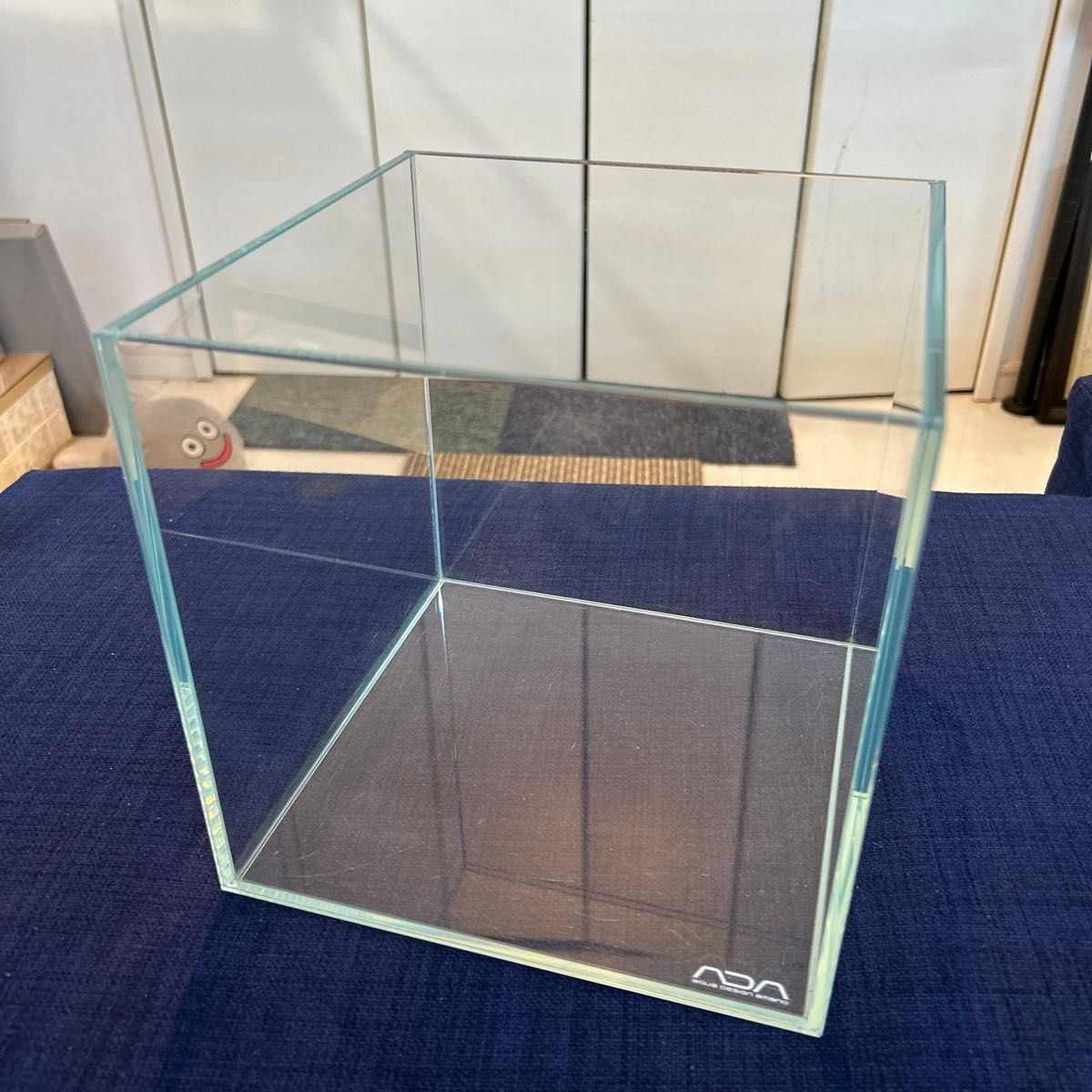 ADA CUBE GARDEN キューブガーデン 20cm 3個セット おまけ付き｜Yahoo