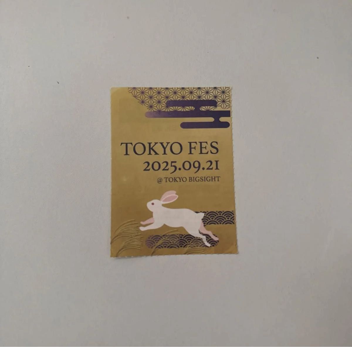 9/21 赤ブー TOKYO FES 2025 サークルチケット サーチケ｜Yahoo!フリマ