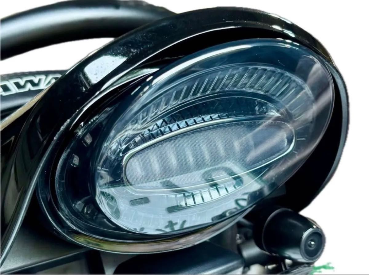 スモークタイプ カワサキ Z900RS Z650RS テールランプ ルミナスLED