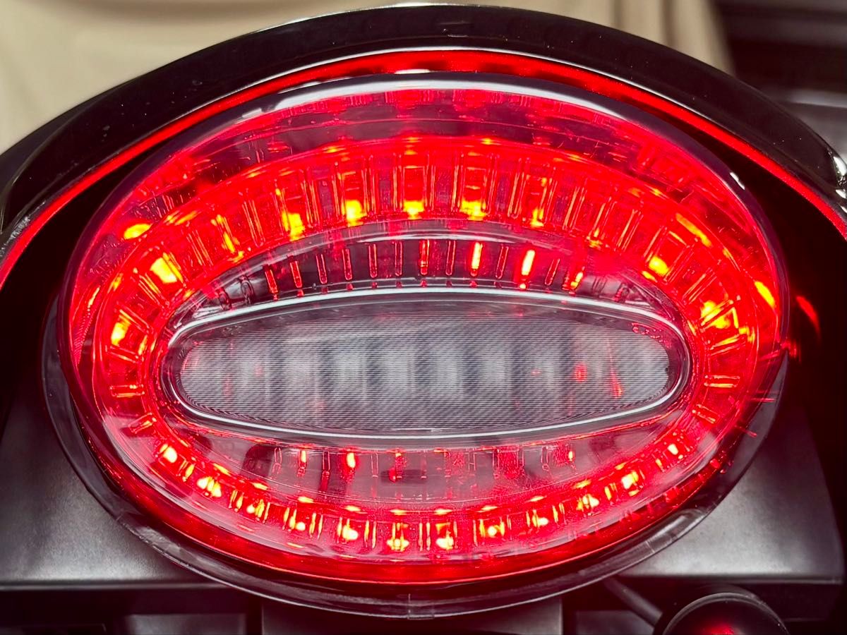 スモークタイプ カワサキ Z900RS Z650RS テールランプ ルミナスLED