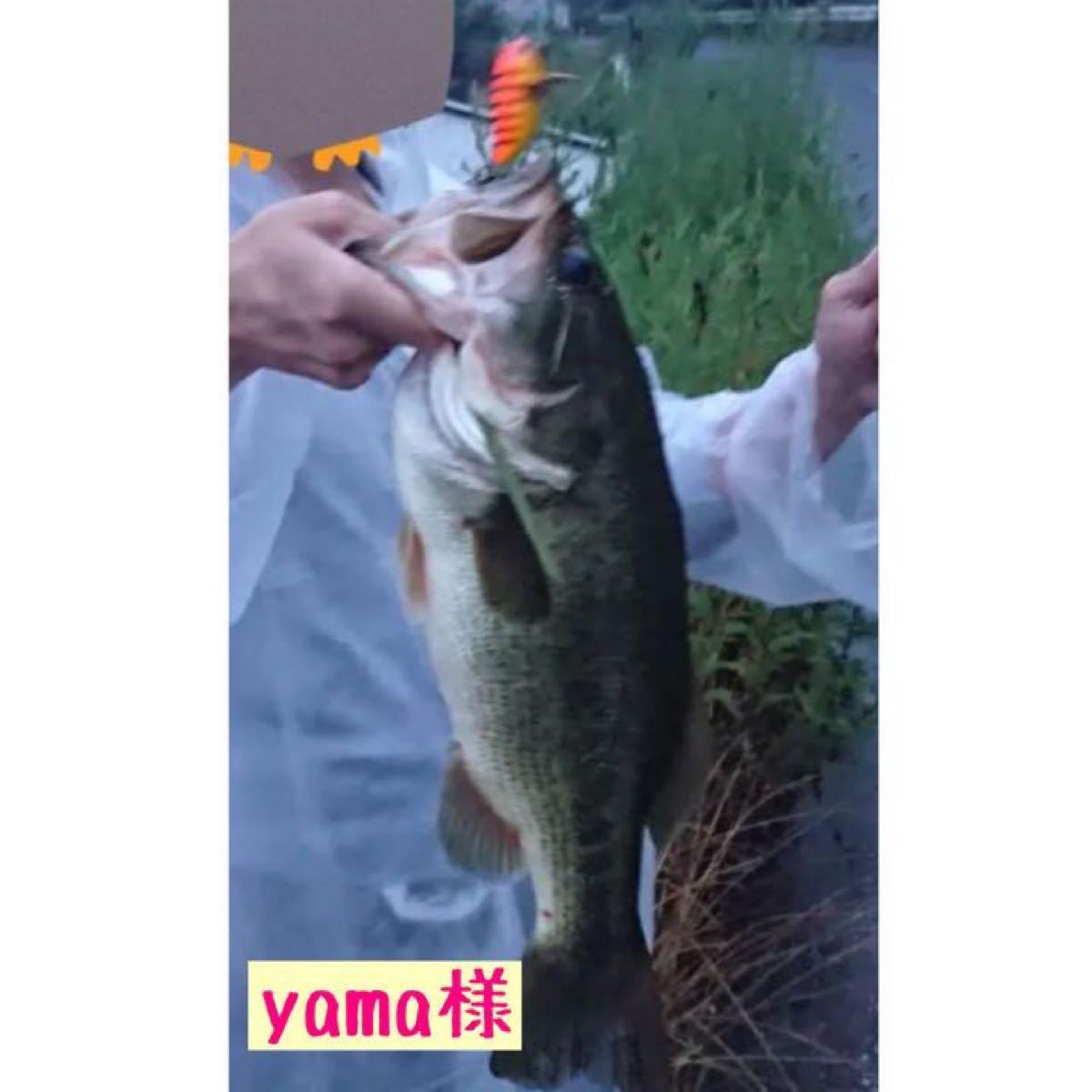 X18 羽根モノ セット ハネモノ トップウォーター バス ナマズ ルアー
