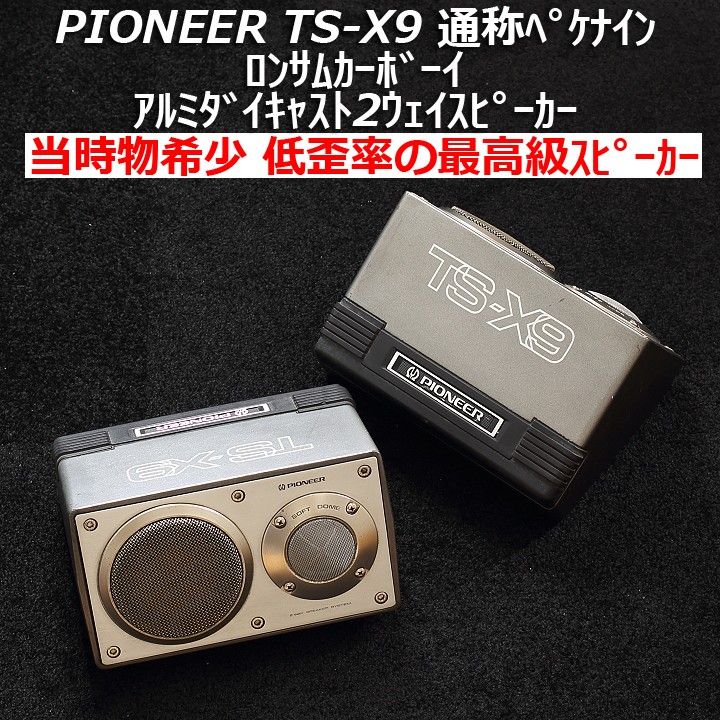 当時物】希少パイオニア ロンサムカーボーイ TS-X9 通称ペケナイン 低