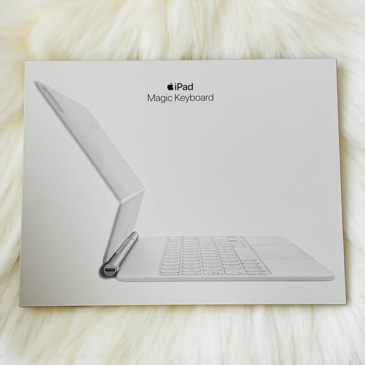 Apple Magic Keyboard 11インチ iPad Pro/Air対応 MJQJ3J/A A2261 使用