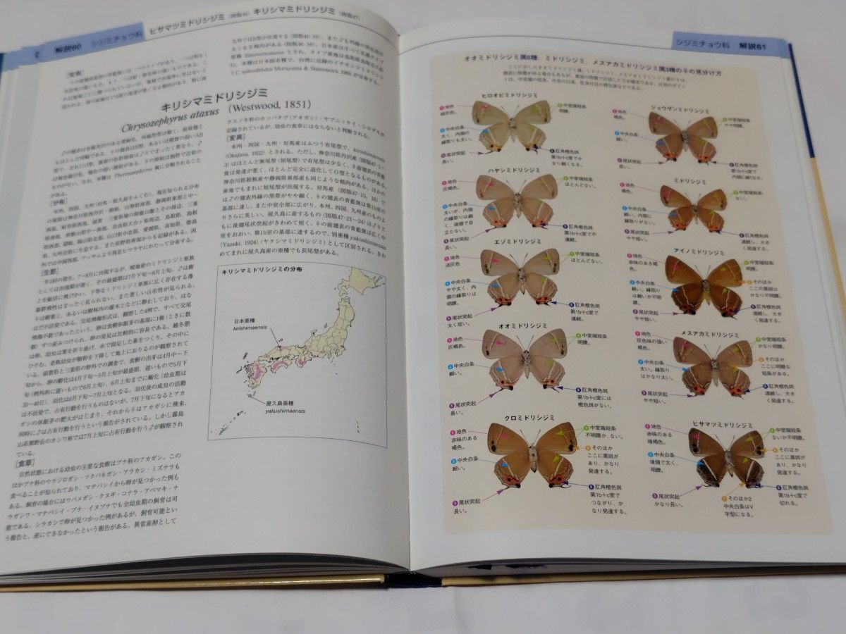 美品 (大型本) 日本産蝶類標準図鑑 白水隆 学研｜Yahoo!フリマ（旧