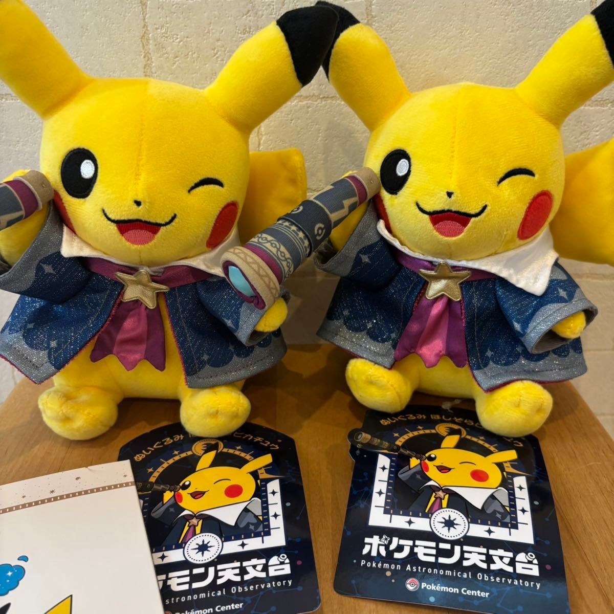 ポケモン 天文台 ピカチュウ ぬいぐるみ 2個セット 天体観測ノート付き