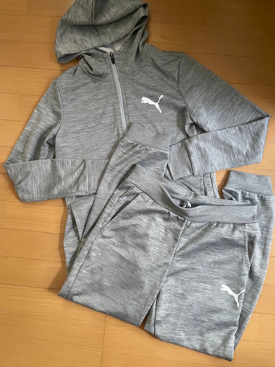 PUMA プーマ ジャージ 上下セット グレー ロゴ入り スポーツウェア