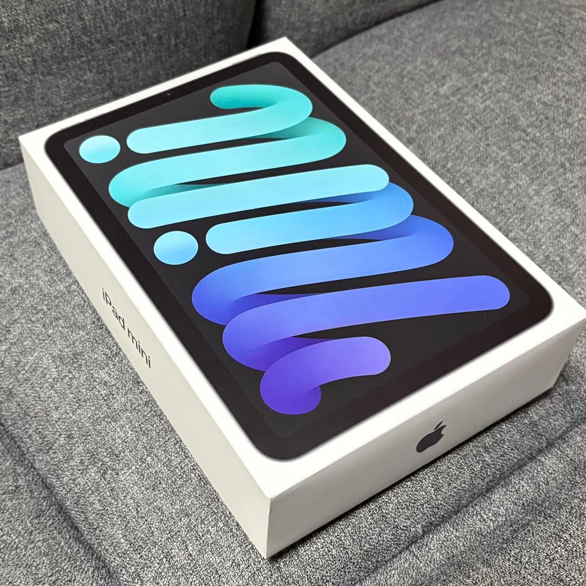 Apple iPad mini 第6世代 64GB Wi-Fiモデル スペースグレイ 中古少々難