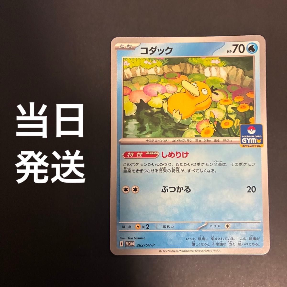 ポケカ コダック しめりけ 1枚 262/SV-P ジムプロモ PROMO ポケモン