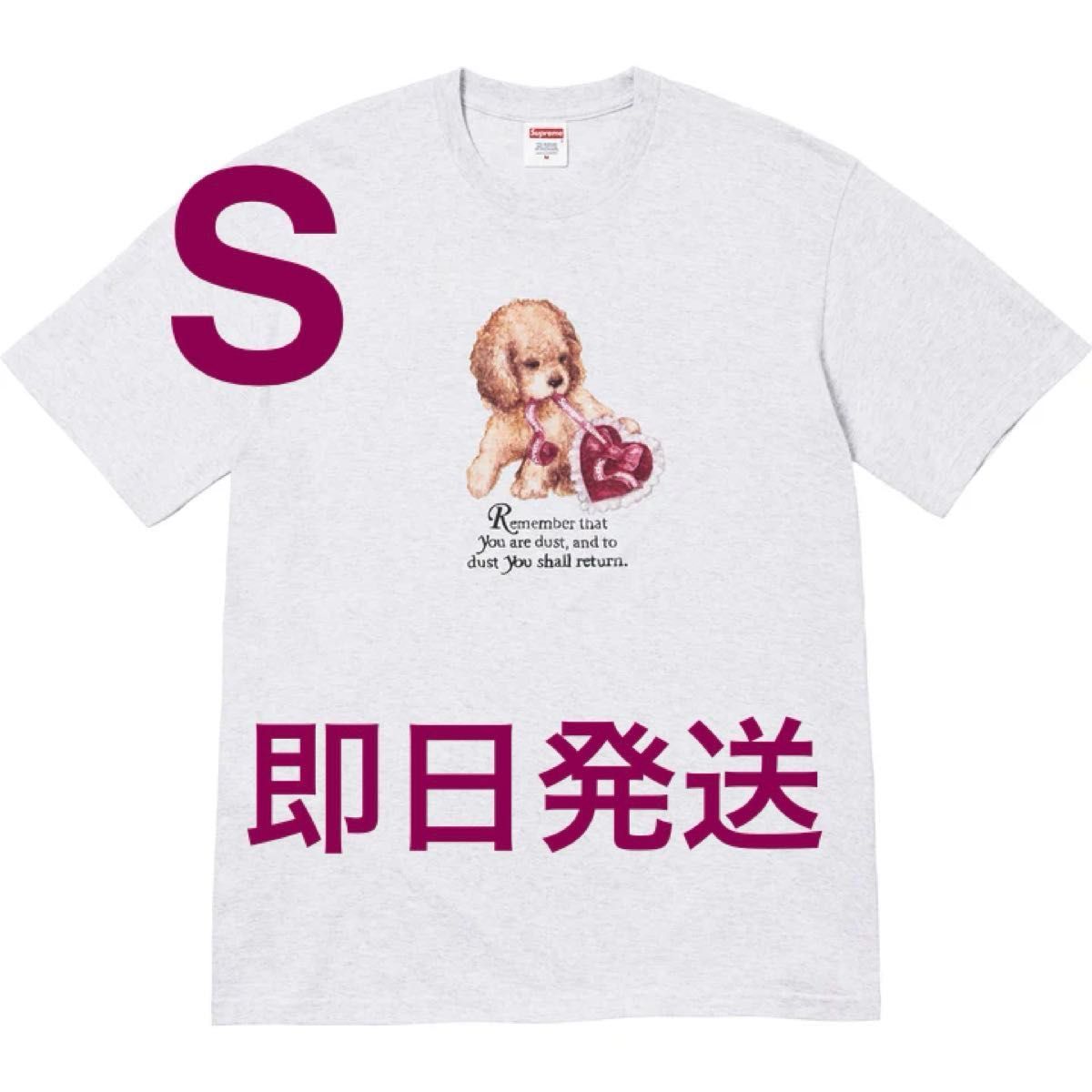 新品】 Supreme Dust Tee ash grey S シュプリーム Tシャツ グレー