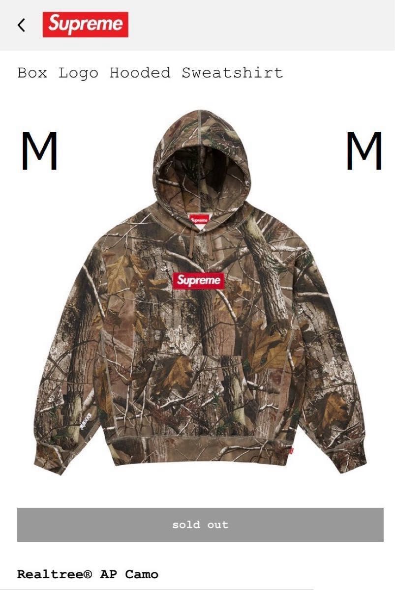 新品 Supreme Box Logo Hooded Sweatshirt Realtree AP Camo / M カモ