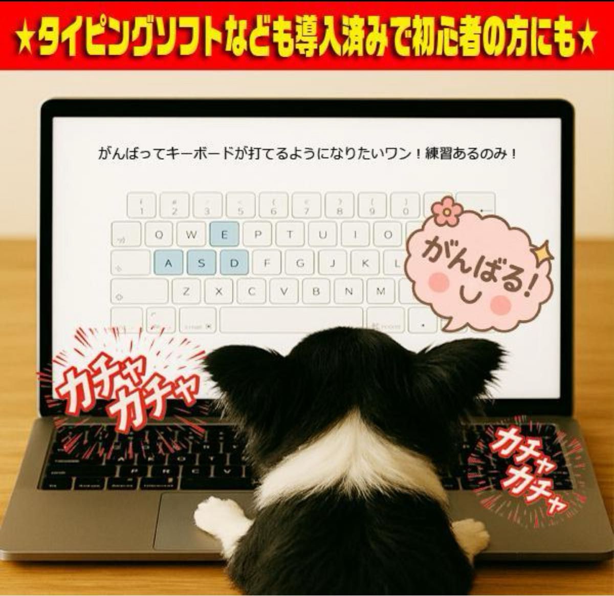 最新Win11-PRO オフィス2021 安心リカバリ メモリ増設 即使用 早い者