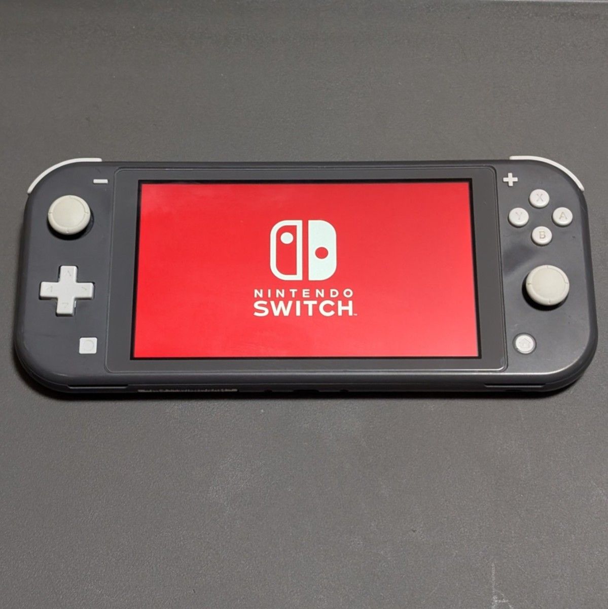 任天堂 Switch Lite グレー 動作確認済み｜Yahoo!フリマ（旧PayPayフリマ）