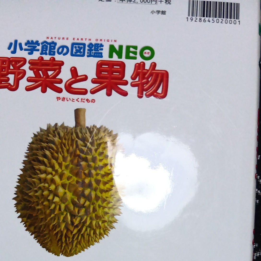野菜と果物 （小学館の図鑑NEO 20） 板木利隆／〔ほか〕監修