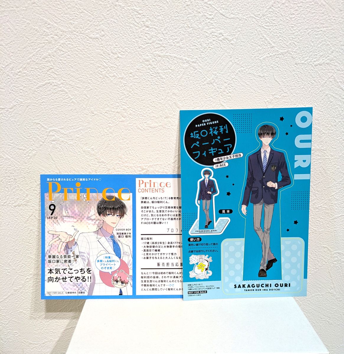 多聞くん今どっち 坂口桜利 TSUTAYA 特典 イラストカード ペーパー