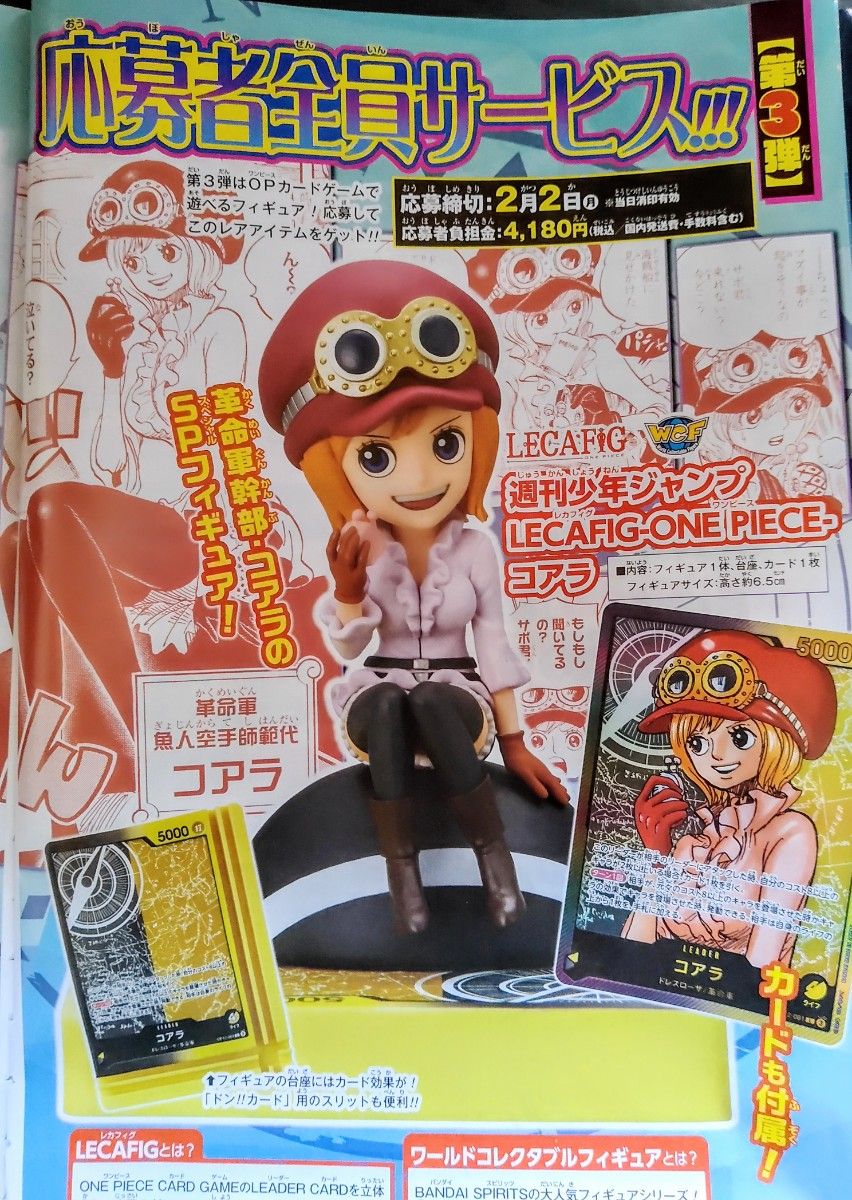 週刊少年ジャンプ8号 ワンピース 応募者全員サービス コアラ 応募