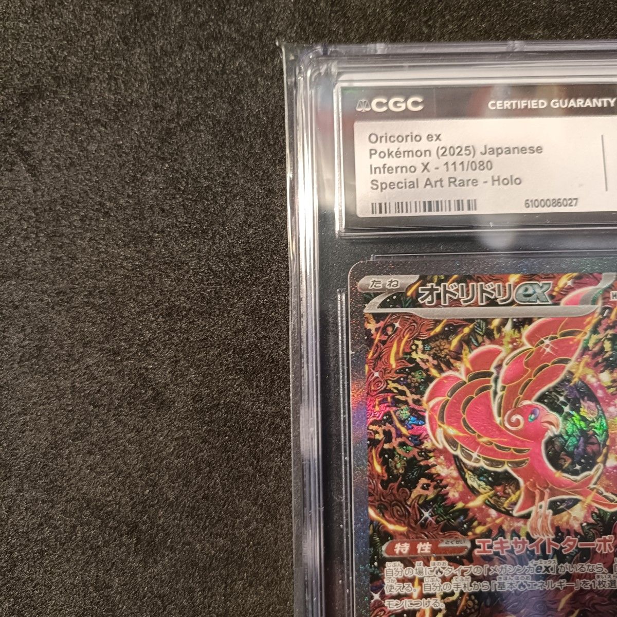 CGC10 オドリドリex SAR インフェルノX ポケモンカード PSA10｜Yahoo