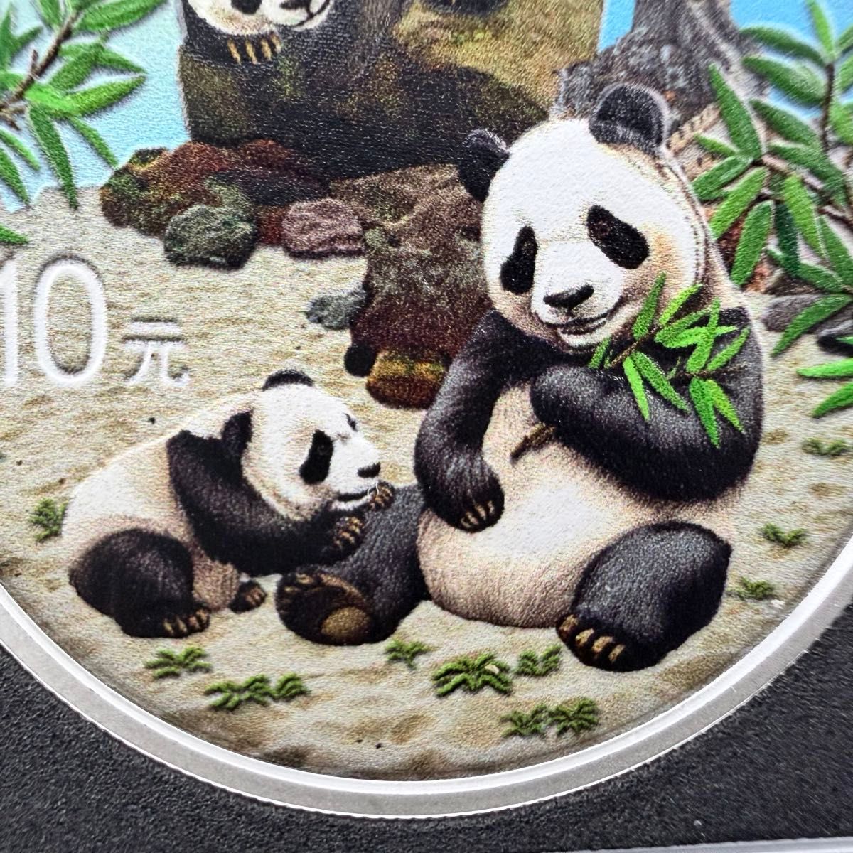 中国 パンダ 銀貨 2025年 純銀 カラー 特別版 観賞用ケース入り｜Yahoo