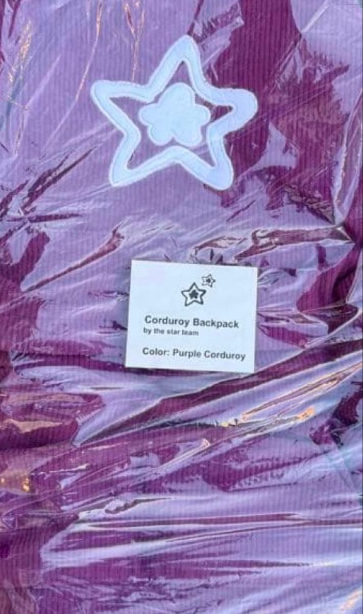 star team CORDUROY BACKPACK PURPLE リュック バックパック