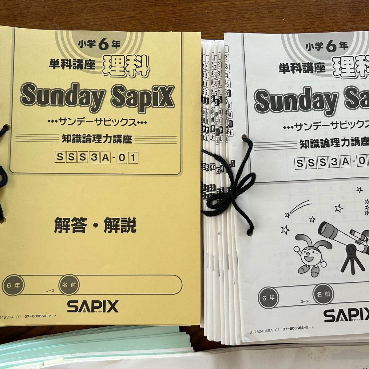 SAPIX6年理科 一年分セットSS特訓デイリーチェック ウィクリー