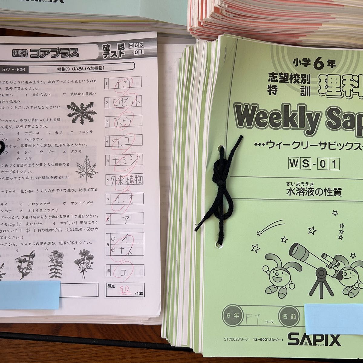 SAPIX6年理科 一年分セットSS特訓デイリーチェック ウィクリー