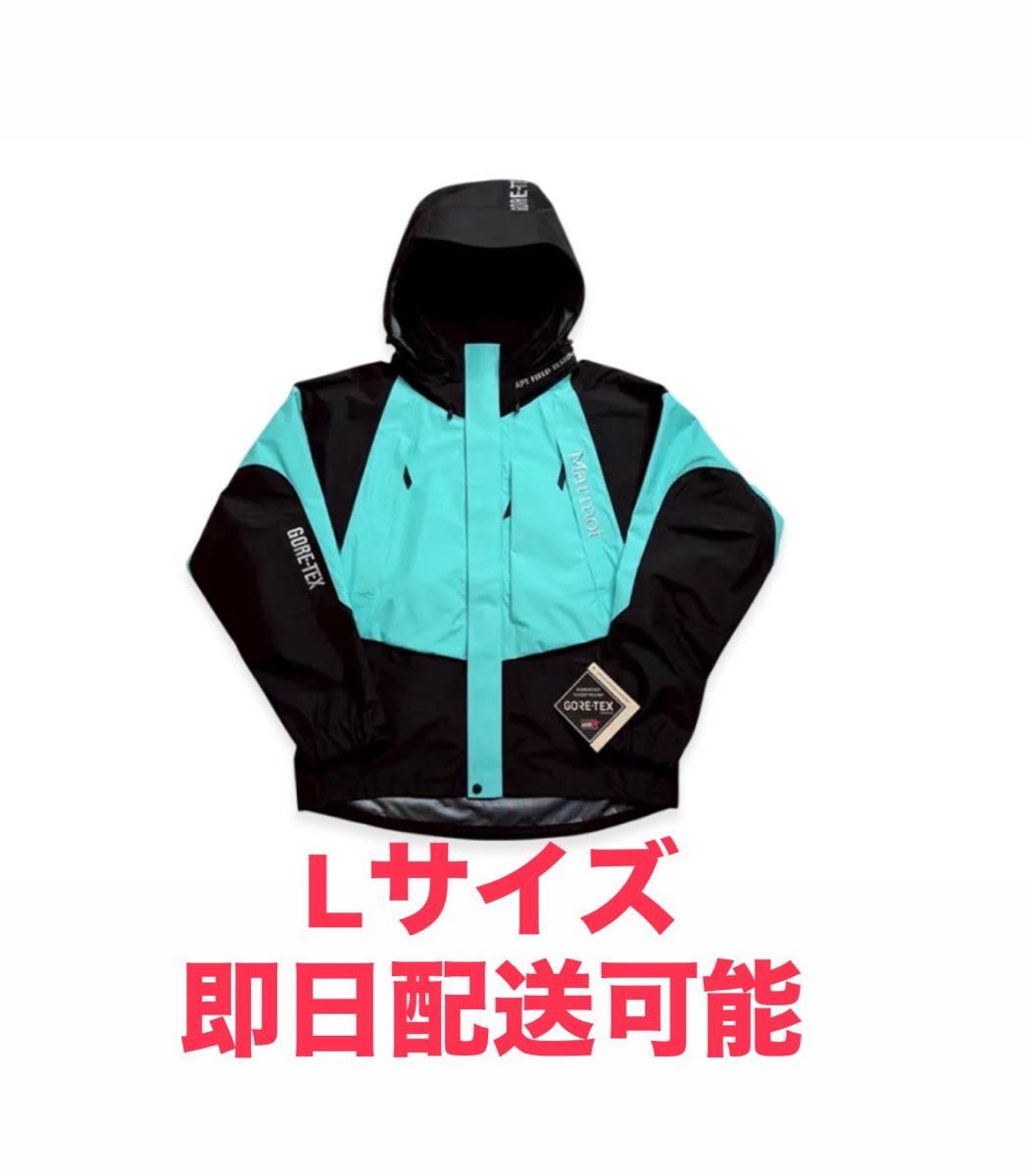 STABRIDGE x Marmot Gore-Tex 3L Alpinist Jacket GEN2 