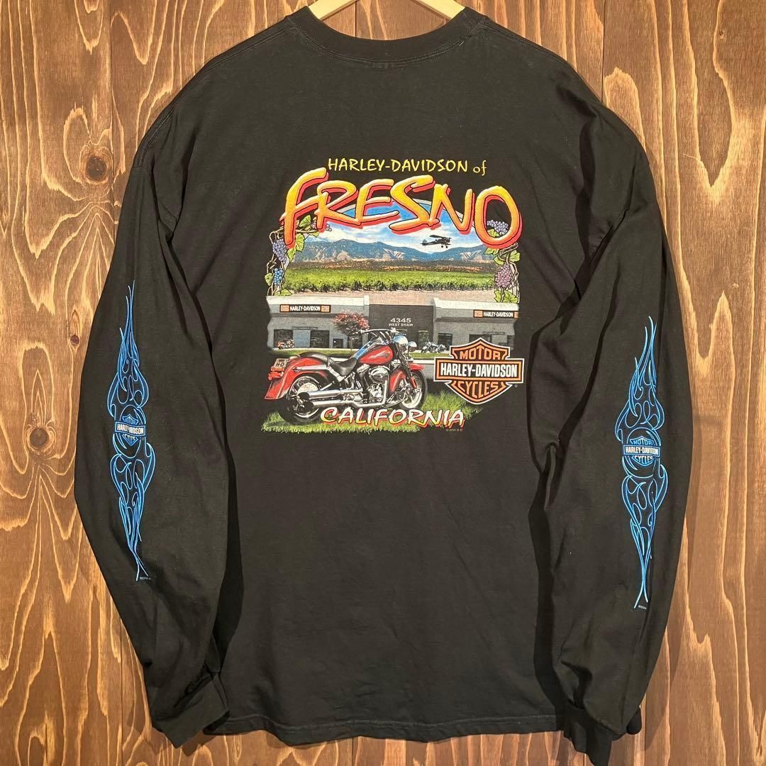 USA製 ハーレーダビッドソン ブルーフレイム ロンT 3xl tシャツ 炎