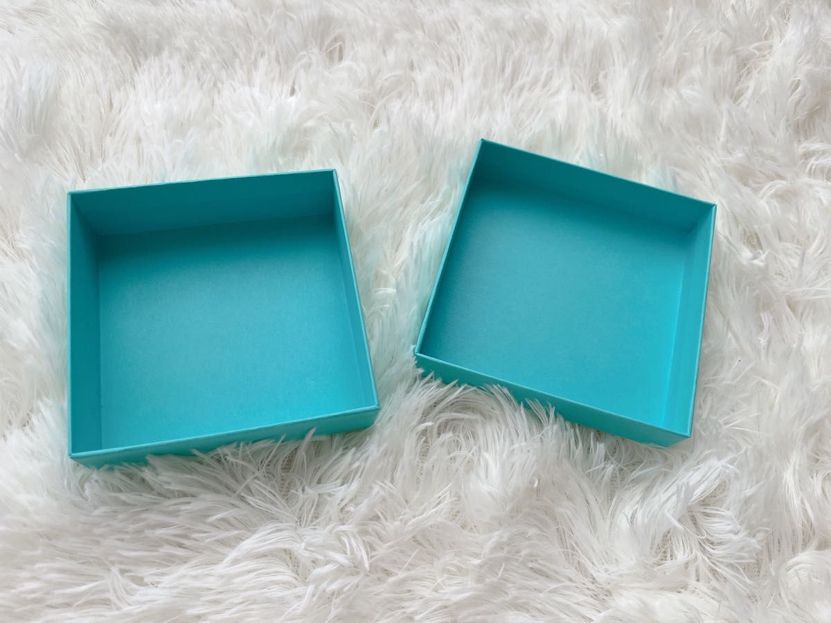 超特大ティファニーTiffany & Co. ターコイズブルー アクセサリー空箱