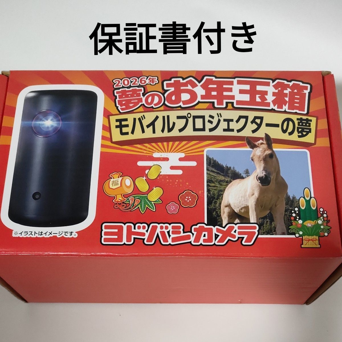 ヨドバシカメラ 夢のお年玉箱 2026 モバイルプロジェクターの夢 Anker