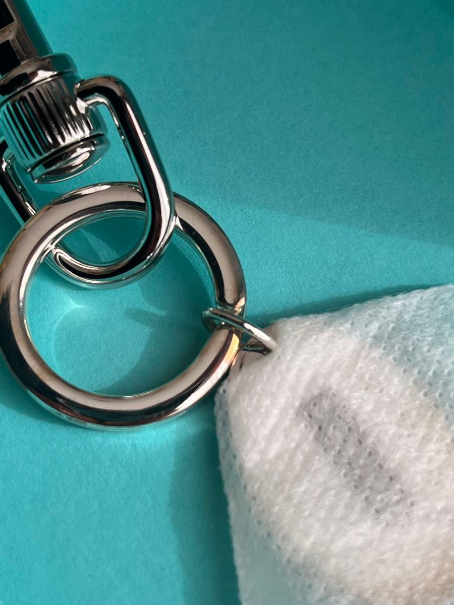 Supreme Tiffany & Co Oval Tag Keyring シュプリームティファニー