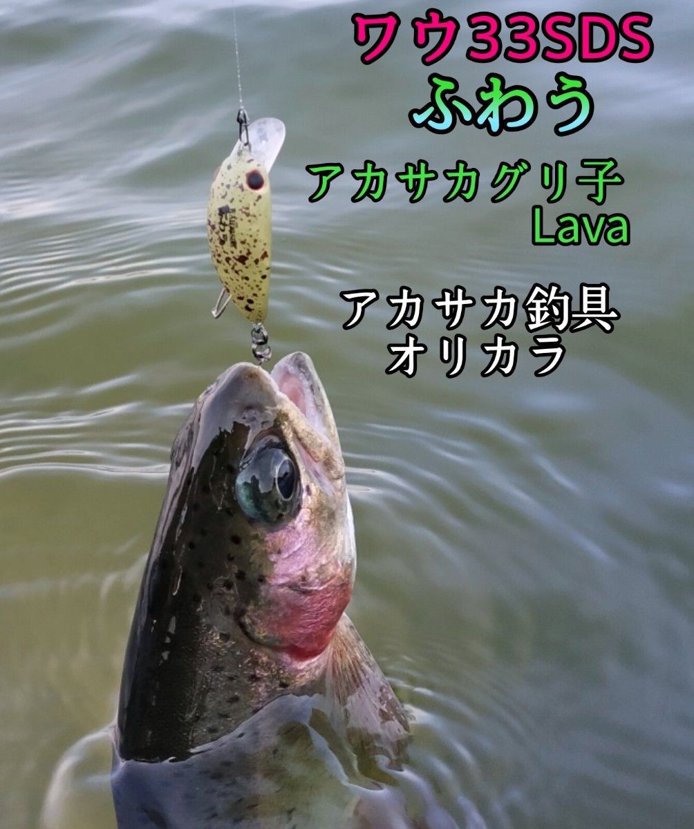 ワウ33SDS ふわう WAH33SDS オリカラ2個セット WAH 33SDS ラッキー