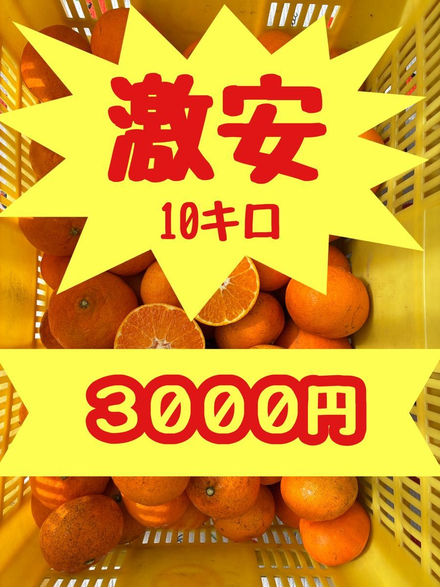 甘平 みかん 超訳あり 愛媛県産 10キロ 加工用 安いに理由あり 説明欄