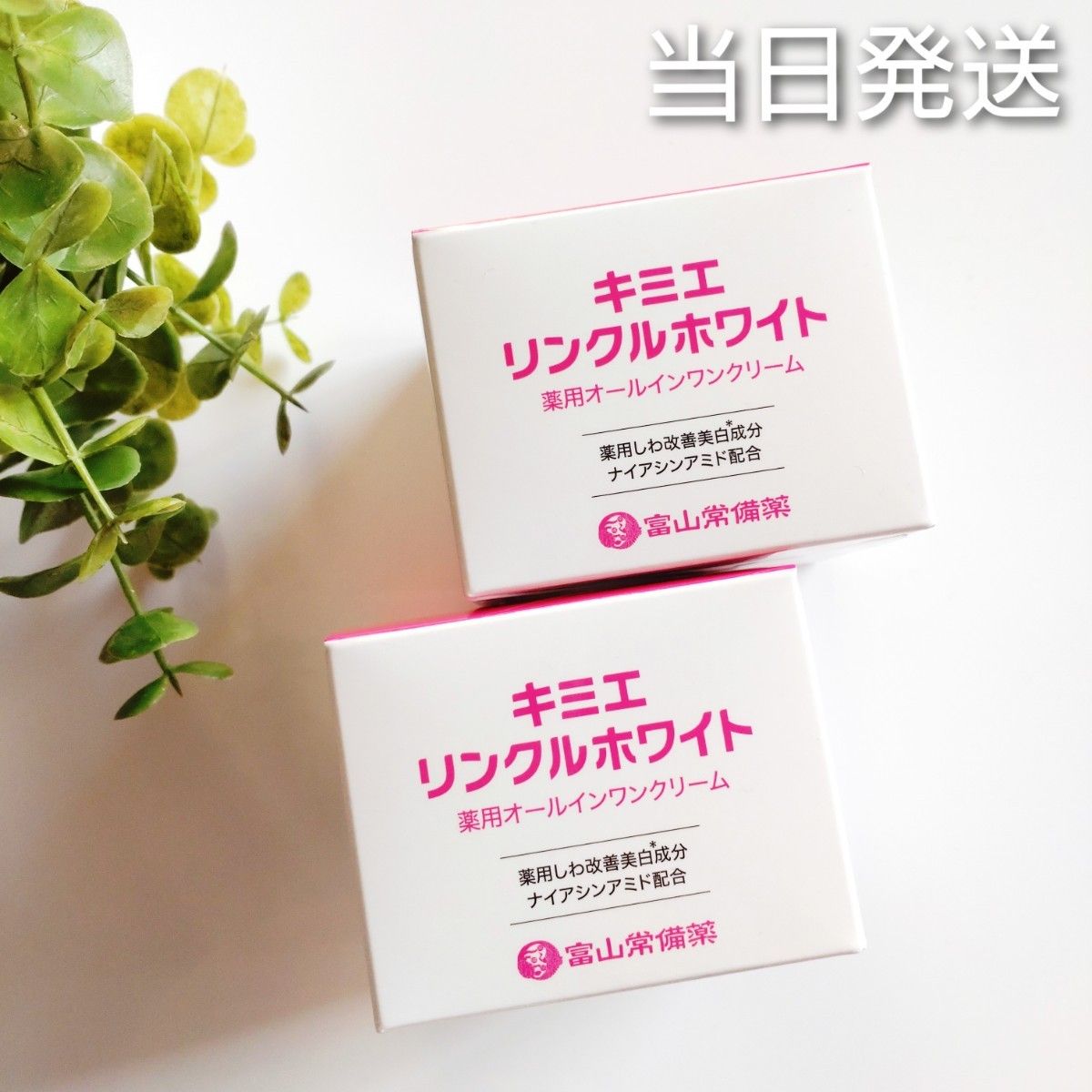 当日発送 富山常備薬 キミエリンクルホワイト 薬用オールインワン