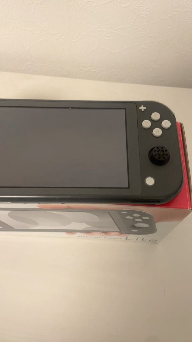 ジャンク品 Nintendo Switch lite 本体 充電器のみ任天堂スイッチ