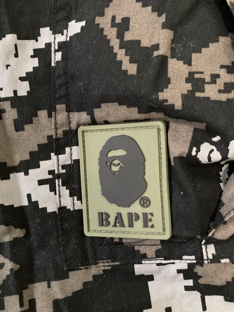 アベイシングエイプ A BATHING APE CAMO CARGO PANTS デジカモ 迷彩柄