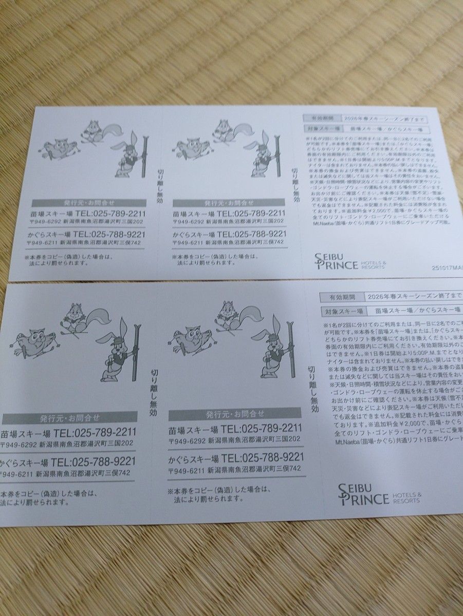 苗場スキー場 かぐらスキー場 早割エリア1日券 引換券 2枚綴り 2セット