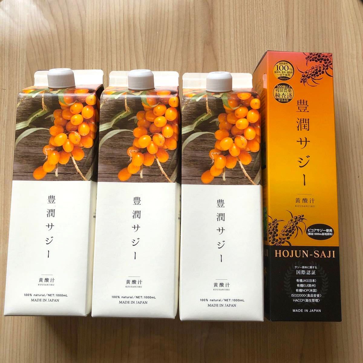 新品 フィネス 豊潤サジー 1000ml 3本と300ml 1本 サジージュース 黄酸