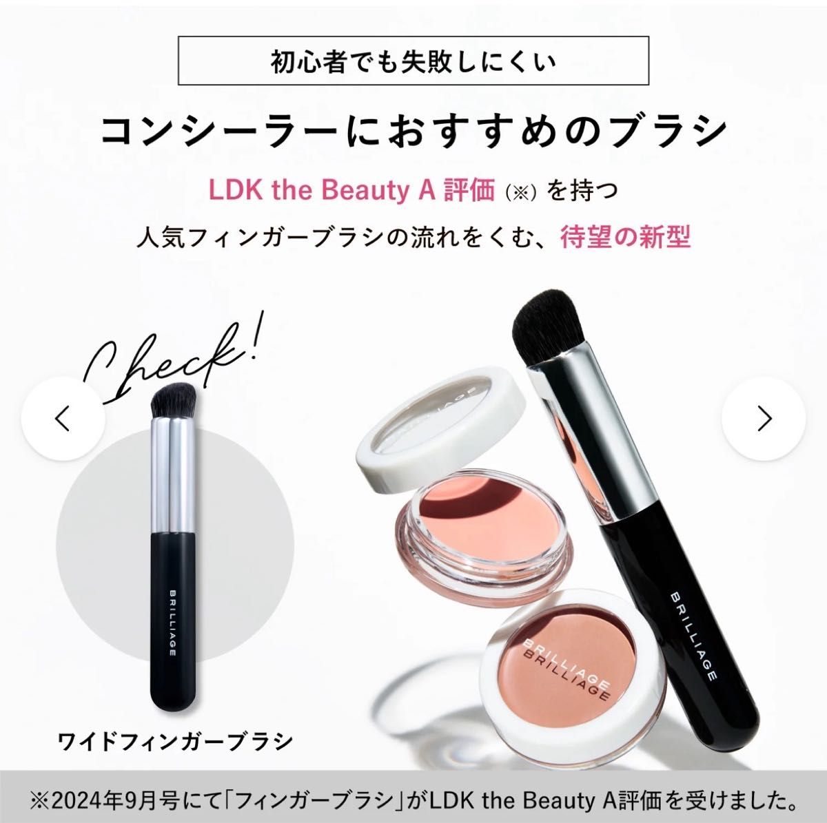 BRILLIAGE ブリリアージュ カモフラージュコンシーラーチーク04 (新色