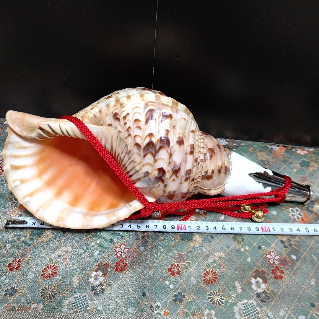 法螺貝 ホラガイ ほらがい ホラ貝 ほら貝 山伏 修験道 魔除け 縁起物