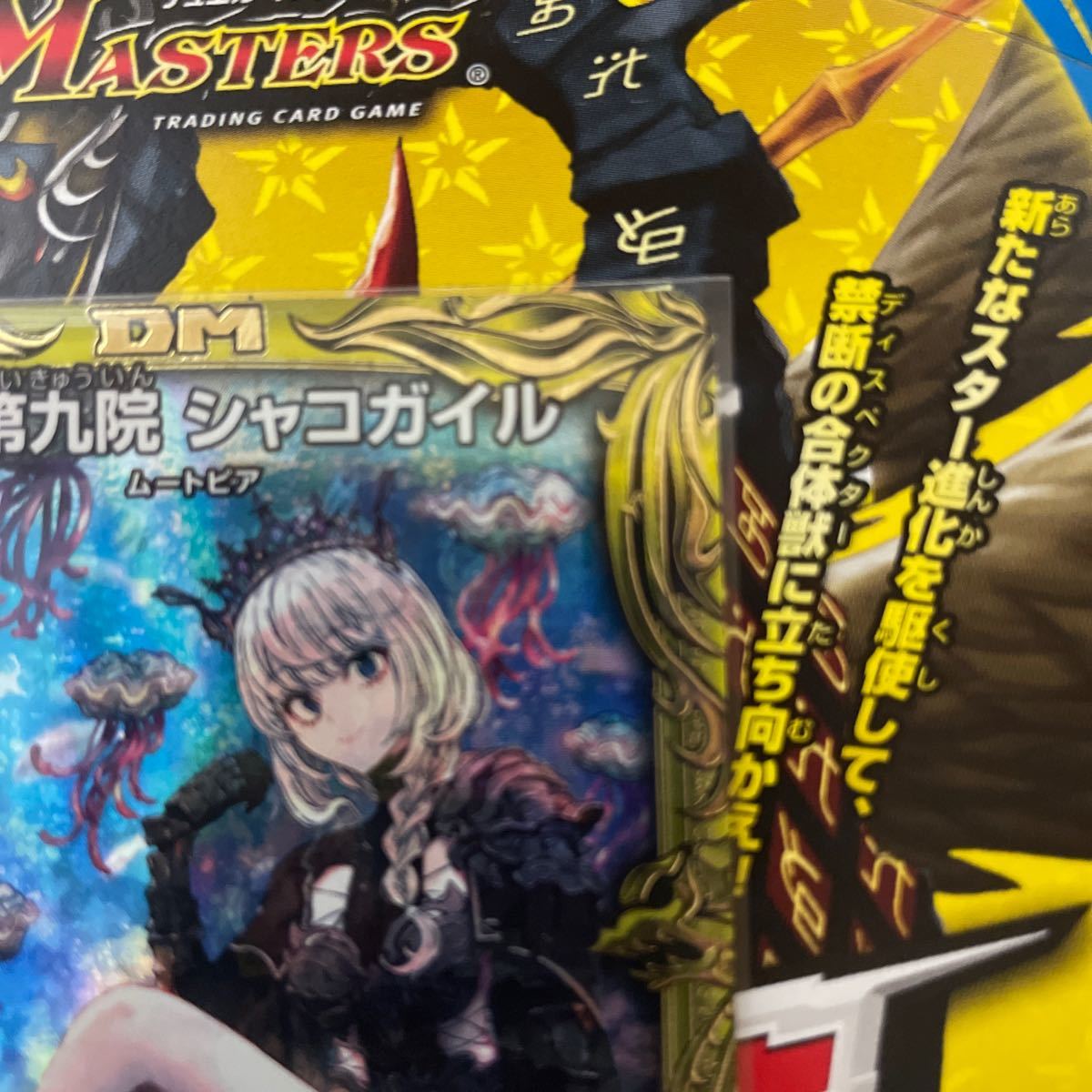 水上第九院 シャコガイル 17B/20｜Yahoo!フリマ（旧PayPayフリマ）