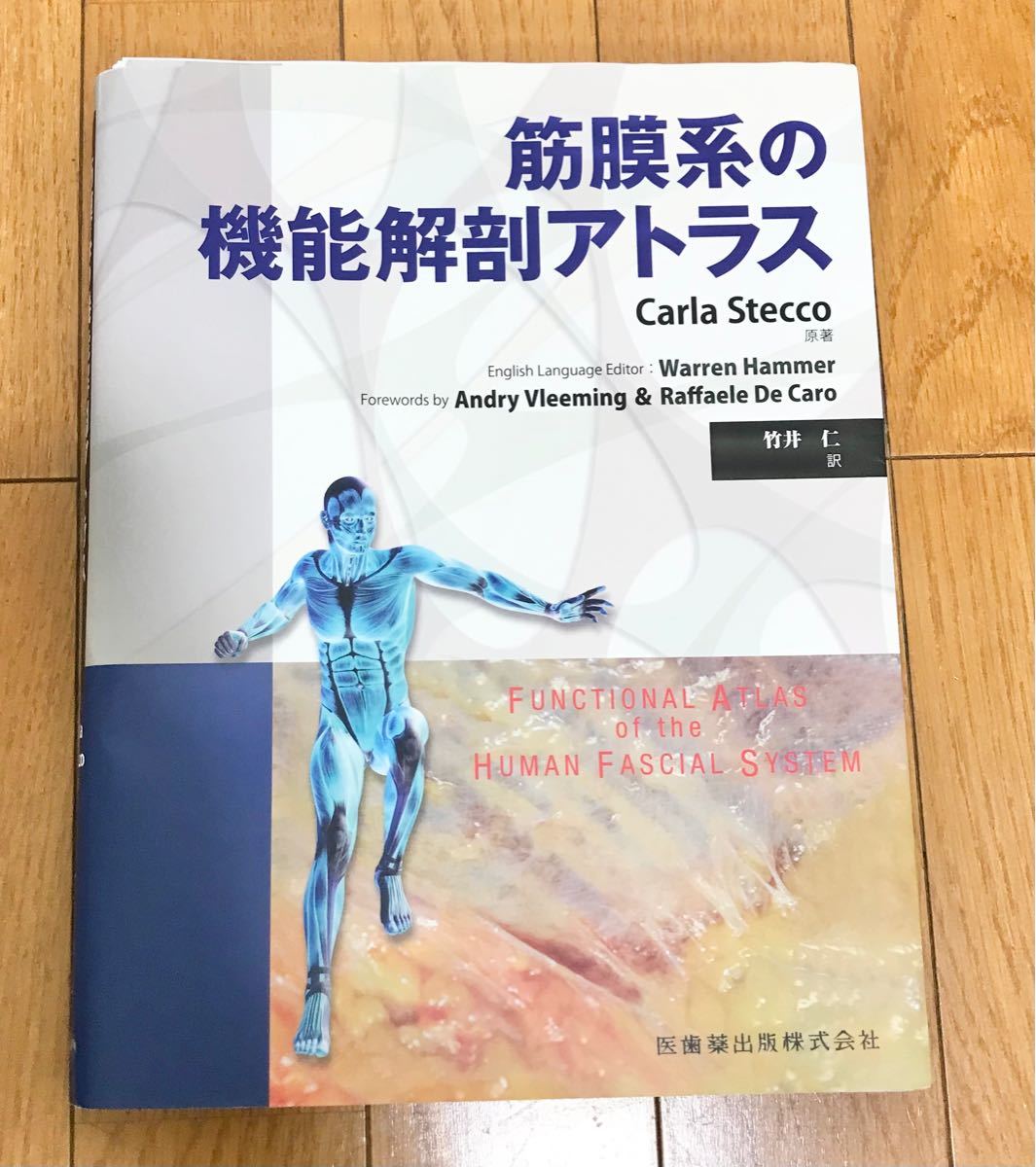 筋膜系の機能解剖アトラス/Carla Stecco／原著