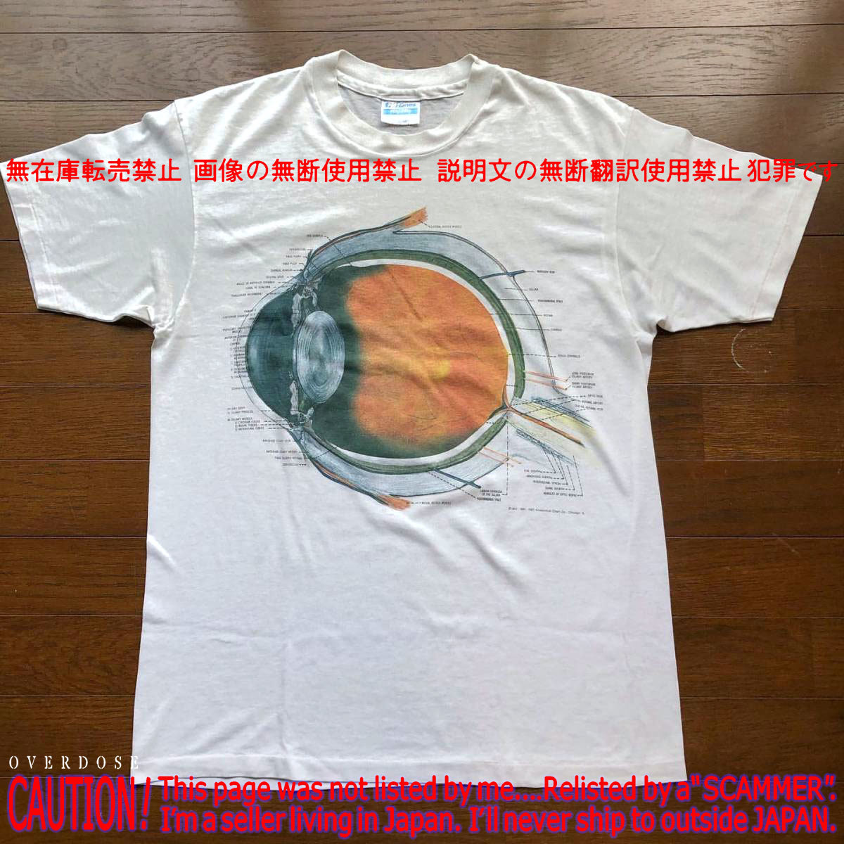 カートコバーン 着同 Anatomical Chart社 87年 Vintage Eyeball T