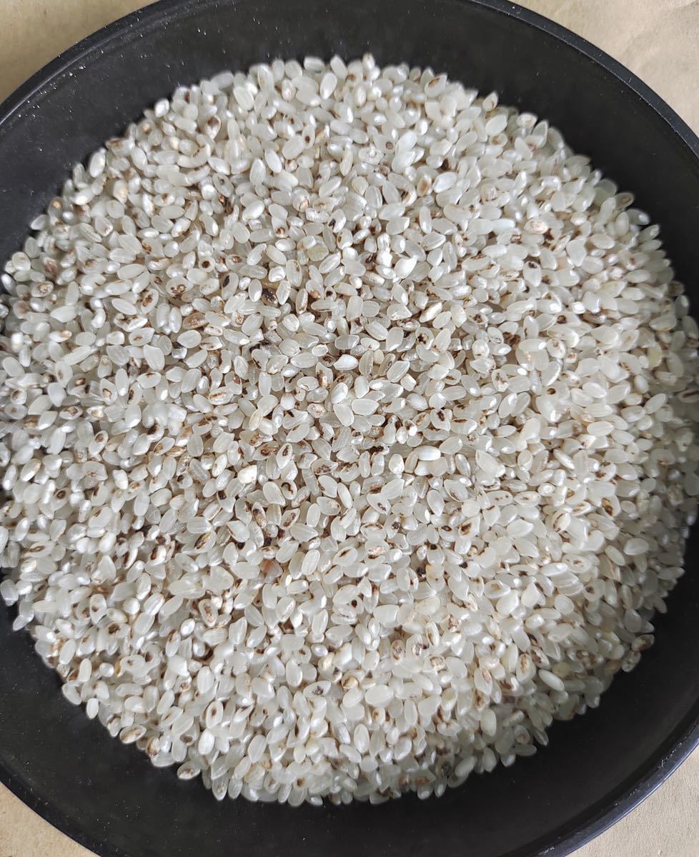 国内産 やけ米 変色米 くず米 砕米 飼料米 餌 24kg 全国送料無料