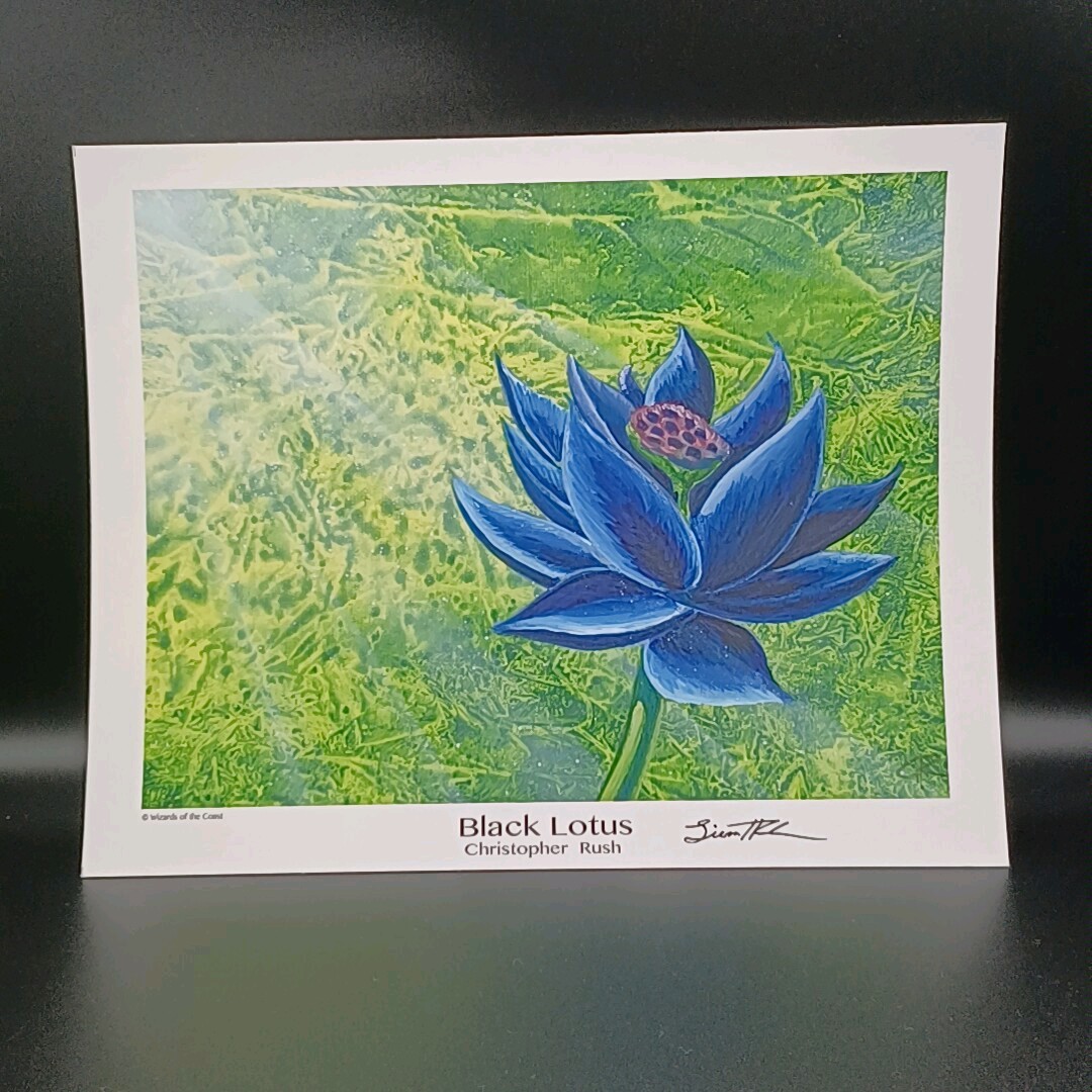 Yahoo!オークション - 在庫限り MTG Black Lotus ブラックロータス ア