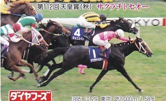 Yahoo!オークション - 〆サクラチトセオー 第112回天皇賞秋 ダイヤフー
