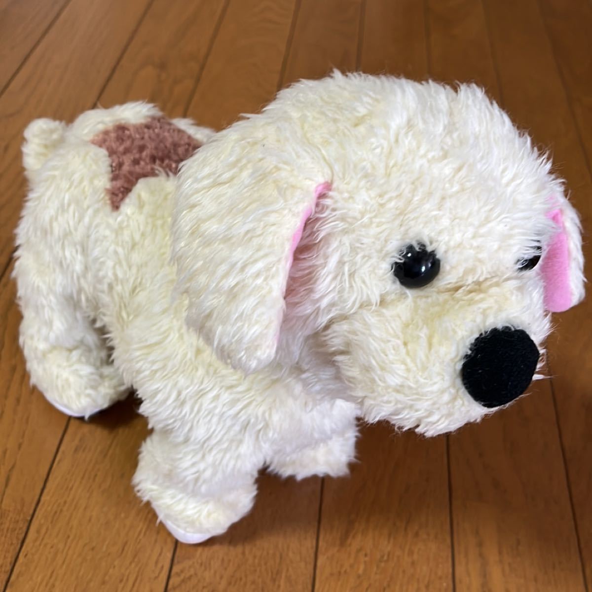 癒されます】うちのスーパードッグ さかだちラッキー｜Yahoo!フリマ