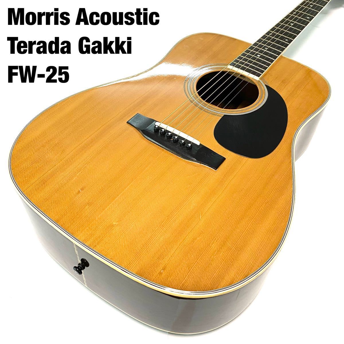 ボディ小ぶりで弾きやすい 寺田楽器製ジャパンビンテージ Morris