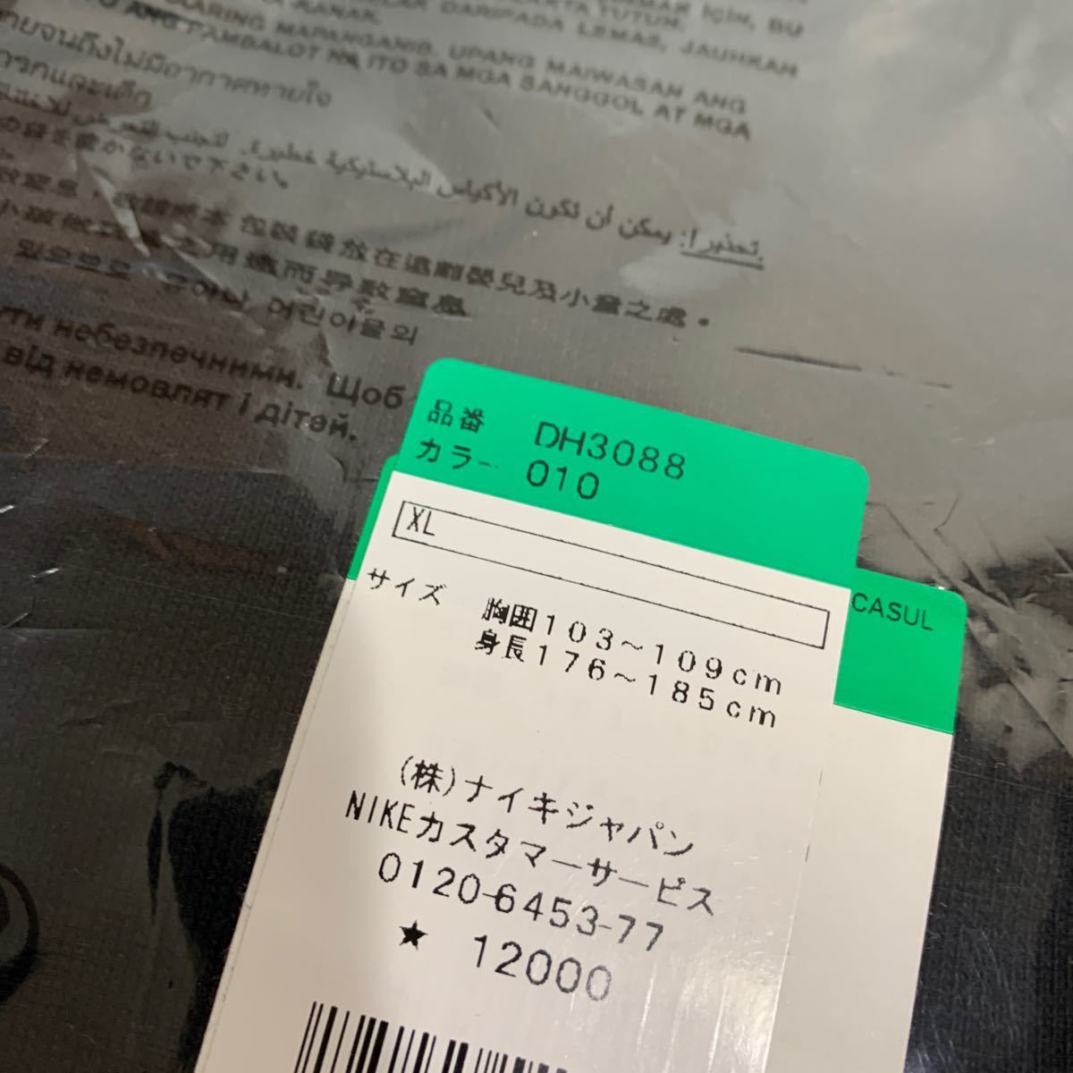 NIKE ACG HOODIE センターロゴ 刺繍ロゴ パーカー ナイキacg 新品