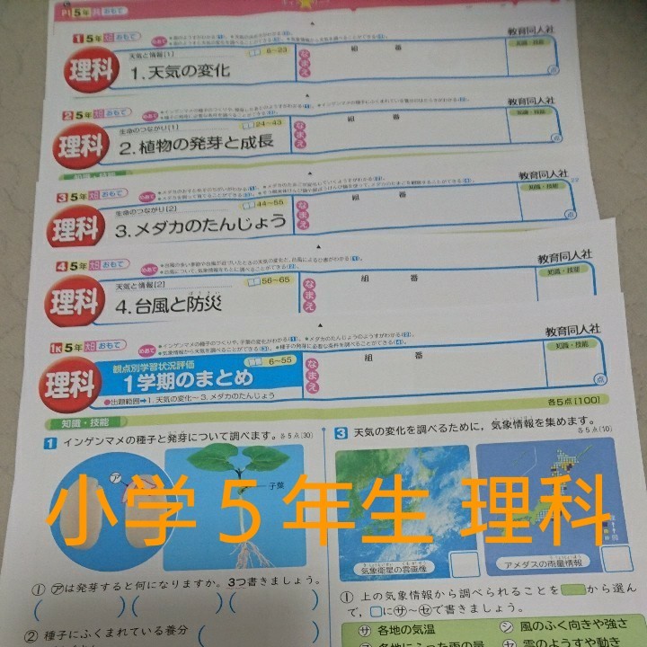 小学5年生 理科 カラーテスト プリント 予習 復習 大日本図書 教育