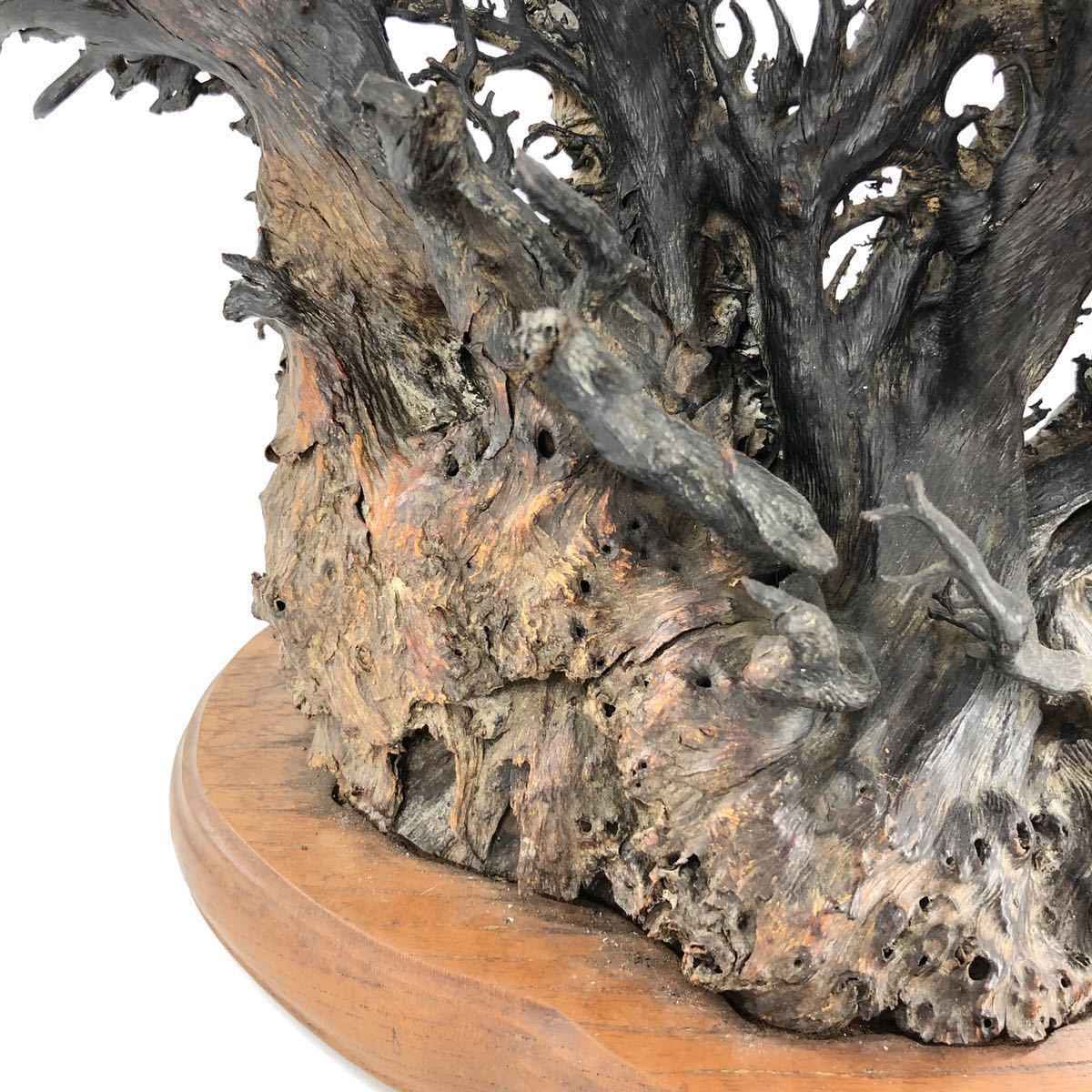 Yahoo!オークション - 【美術品 深海松 原木】畑AB-1 黒珊瑚 総重量2.6