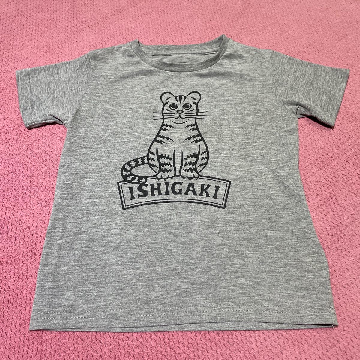 石垣島限定 ザノースフェイス イリオモテヤマネコTシャツ グレー 110cm